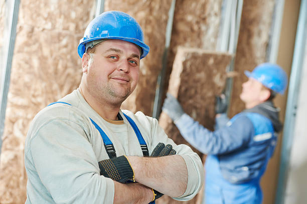 Best Insulation Maintenance and Repair in Fruitport, MI